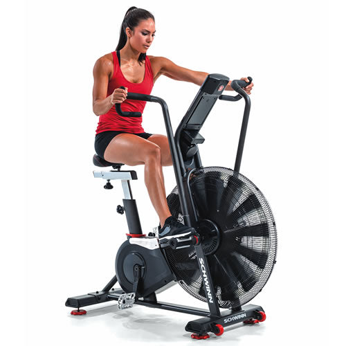 Schwinn Ergometer Airdyne AD8 Pro