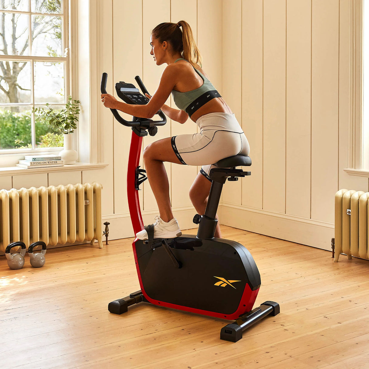 Reebok FR30 Ergometer